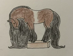 Submission thumbnail