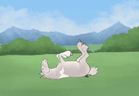 Submission thumbnail