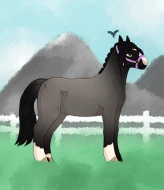 Submission thumbnail