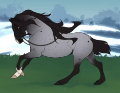 Submission thumbnail