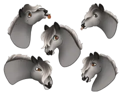 Submission thumbnail