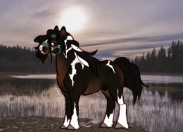 Submission thumbnail