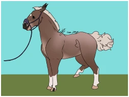 Submission thumbnail