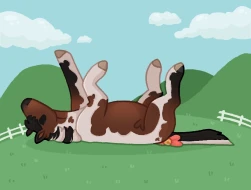 Submission thumbnail