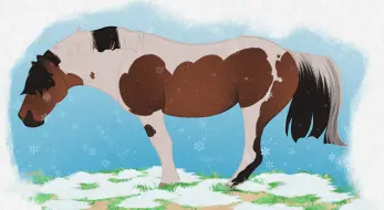 Submission thumbnail