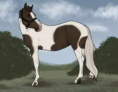 Submission thumbnail