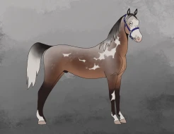 Submission thumbnail