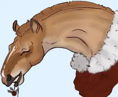 Submission thumbnail