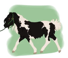 Submission thumbnail