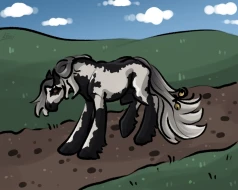 Submission thumbnail