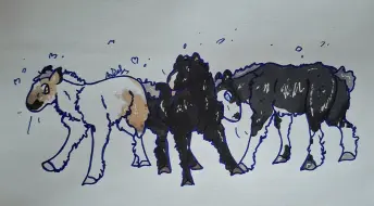 Submission thumbnail