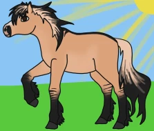 Submission thumbnail