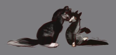 Submission thumbnail