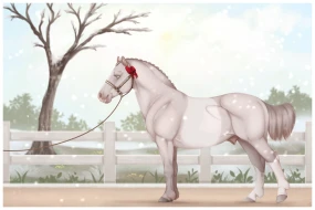 Submission thumbnail