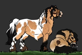 Submission thumbnail