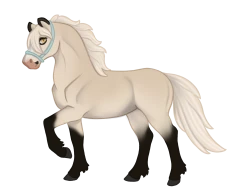 Submission thumbnail