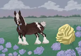 Submission thumbnail