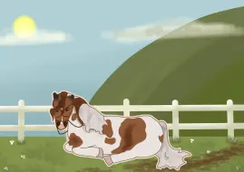 Submission thumbnail