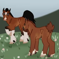 Submission thumbnail