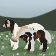 Submission thumbnail