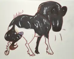 Submission thumbnail